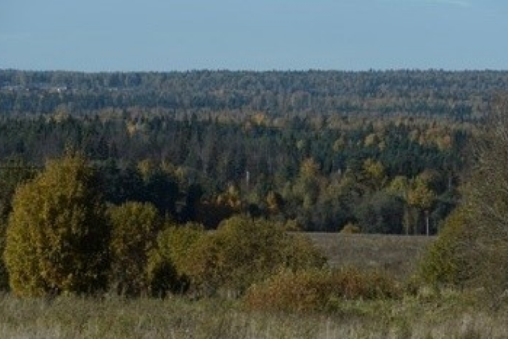 Мой родной край – Ленинградская область