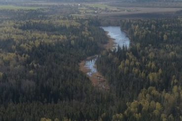 В Ленинградской области появится сафари-парк