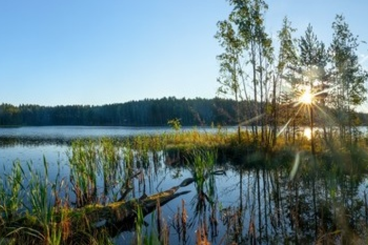 Самый чистый родник области – в Сяберо