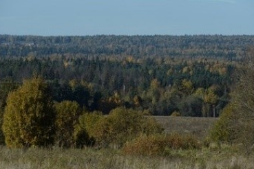 Мой родной край – Ленинградская область