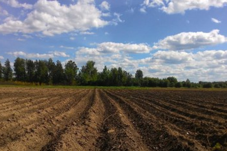 Ленинградская область возвращает земли в сельхозоборот