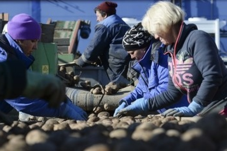 Будущее областного АПК — высокие технологии